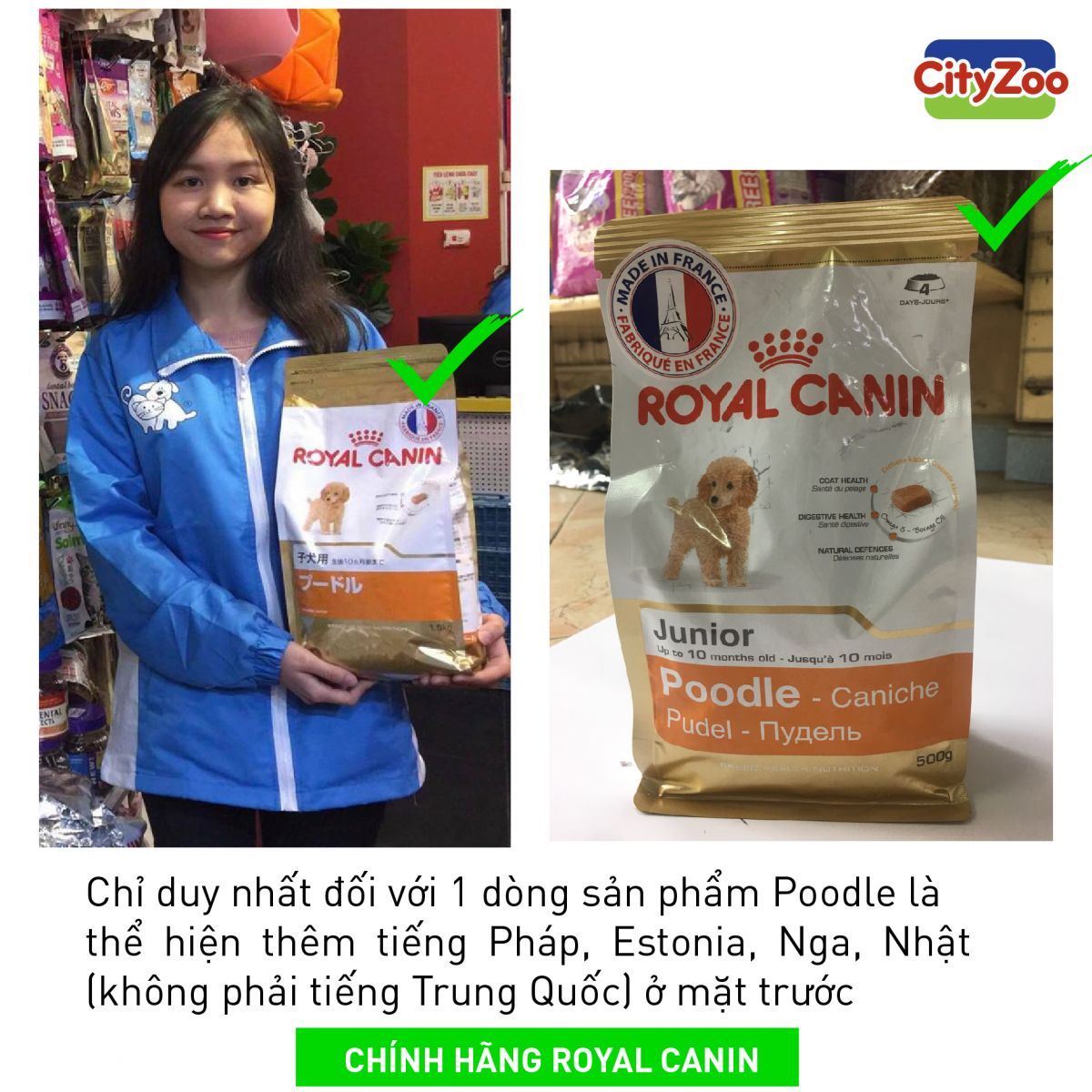 royal-canin-poodle-tieng-nhat-nga-phap