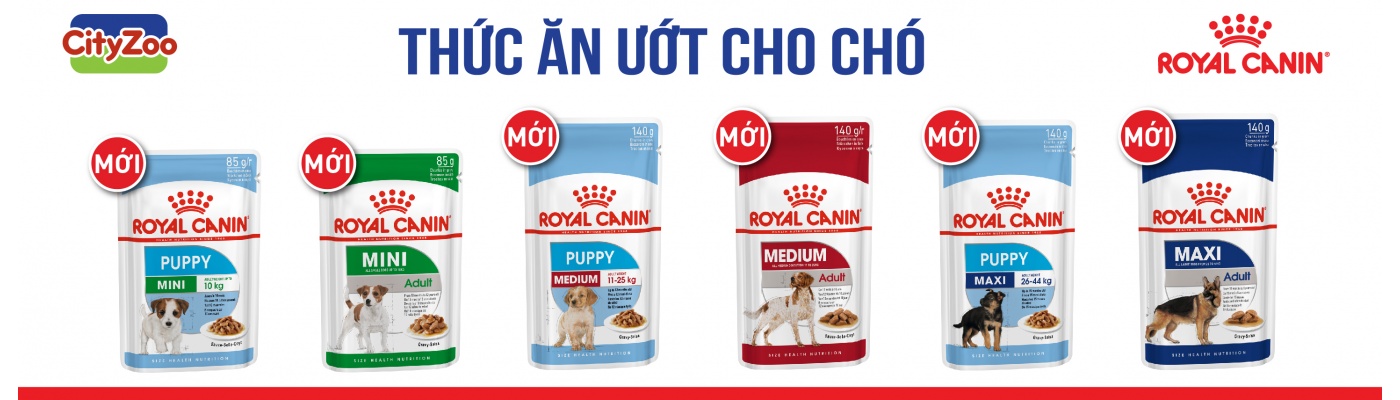 Thức ăn ướt cho chó ROYAL CANIN