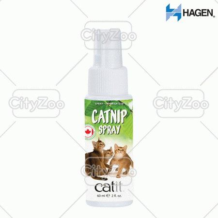 HAGEN CATIT - CỎ MÈO DẠNG XỊT