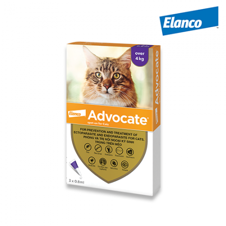  ADVOCATE Cat 3X 0,8ml 