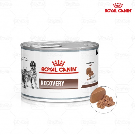 ROYAL CANIN RECOVERY - THÚC ĐẨY QUÁ TRÌNH PHỤC HỒI