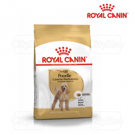 ROYAL CANIN POODLE ADULT