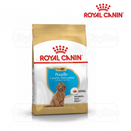 ROYAL CANIN POODLE PUPPY