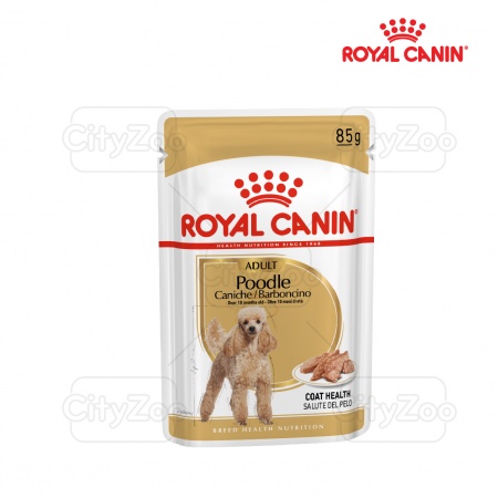 ROYAL CANIN POODLE WET