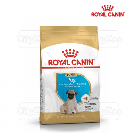 ROYAL CANIN PUG PUPPY