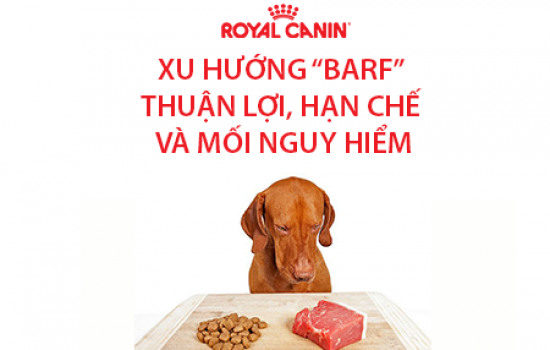 XU HƯỚNG “BARF” – PHẦN 2: NHẬN ĐỊNH VÀ THỰC TẾ