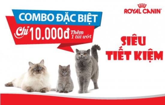 COMBO ĐẶC BIỆT - TIẾT KIỆM 20.000