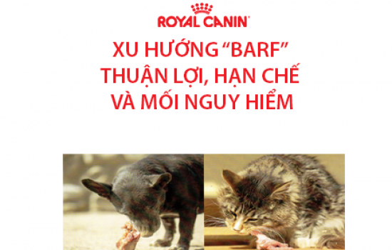 XU HƯỚNG “BARF” – PHẦN 1: TỔNG QUAN VỀ “BARF”