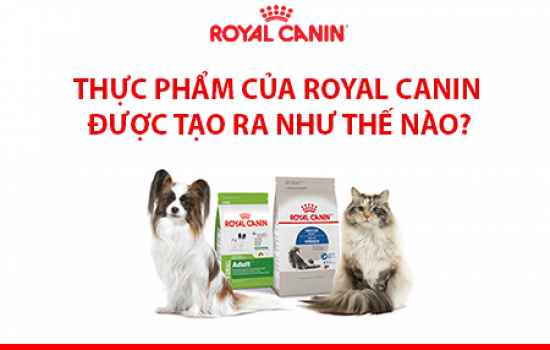 THỨC ĂN ROYAL CANIN CHO CHÓ MÈO ĐƯỢC TẠO RA NHƯ THẾ NÀO?