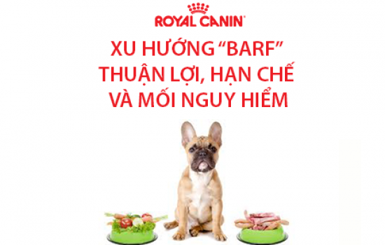 XU HƯỚNG BARF – PHẦN 3: SỰ NGUY HIỂM KHI CHO CHÓ MÈO ĂN THỨC ĂN SỐNG