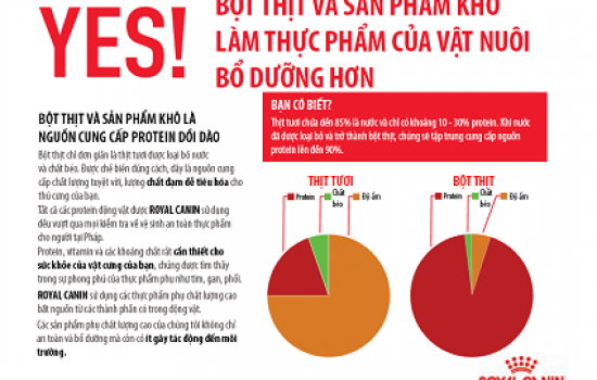 THỰC PHẨM SẤY KHÔ VÀ SẢN PHẨM KHỬ NƯỚC LÀ GÌ?