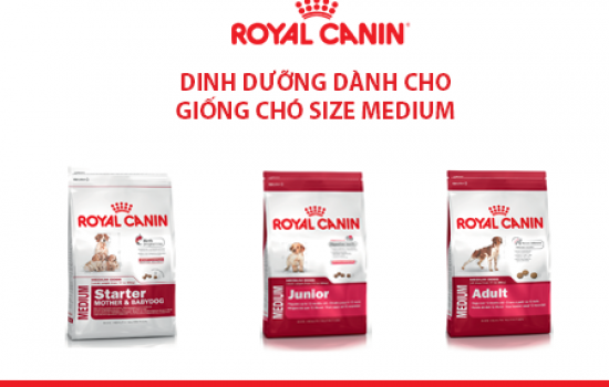 DINH DƯỠNG DÀNH CHO DÒNG CHÓ SIZE MEDIUM