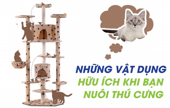 NHỮNG VẬT DỤNG HỮU ÍCH KHI NUÔI THÚ CƯNG