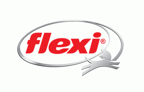 GIỚI THIỆU VỀ FLEXI