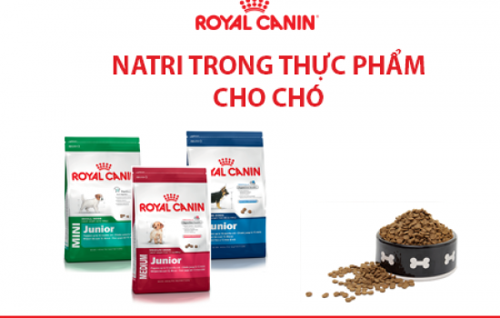 NATRI TRONG THỰC PHẨM DÀNH CHO CHÓ