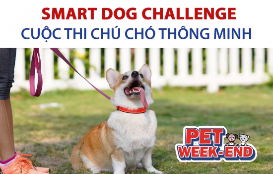 CUỘC THI CHÚ CHÓ THÔNG MINH - SMART DOG CHALLENGE