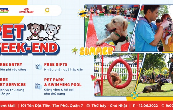 NGÀY HỘI THÚ CƯNG PET WEEK-END 2022