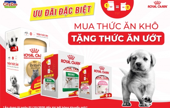 CTKM ROYAL CANIN THÁNG 10/2020