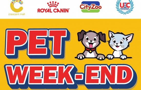 Tưng bừng ngày hội Pet Week-End và sự kiện chạy cùng thú cưng Doggie Dash