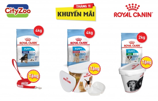 KHUYẾN MÃI THÁNG 11-2018 DÀNH CHO CHÓ: ROYAL CANIN PUPPY