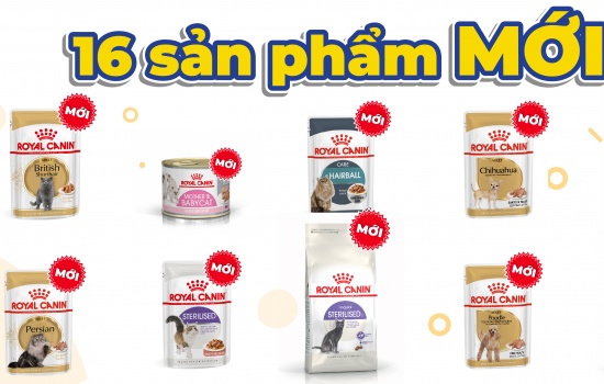 CHÍNH THỨC: Cityzoo công bố 16 sản phẩm mới từ ROYAL CANIN