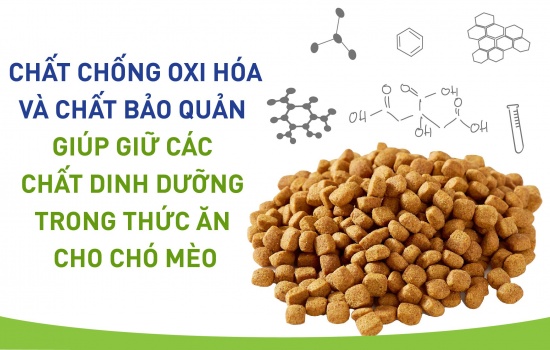 CHẤT CHỐNG OXI HÓA VÀ CHẤT BẢO QUẢN GIÚP GIỮ CÁC CHẤT DINH DƯỠNG TRONG THỰC PHẨM VẬT NUÔI