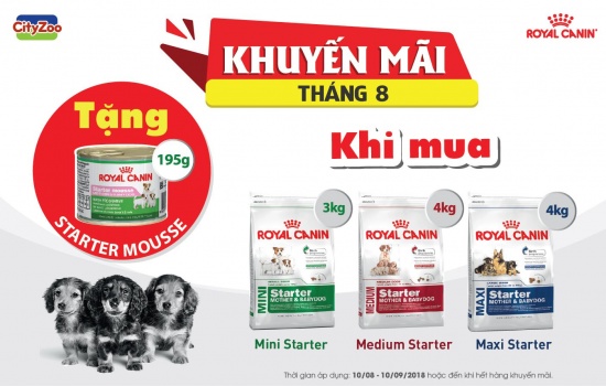 CHƯƠNG TRÌNH KHUYẾN MÃI THÁNG 8/2018 TỪ ROYAL CANIN