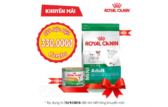 Chương trình khuyến mãi tháng 9/2018 cùng Royal Canin