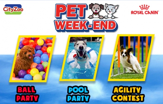 Ngày hội thú cưng PET WEEK-END 2019 tại Crescent Mall TPHCM