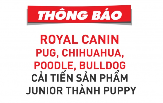 Chính thức: ROYAL CANIN Pug, Chihuahua, Poodle, Bulldog cải tiến Junior thành Puppy và thay đổi bao bì Adult