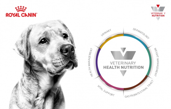 THỰC PHẨM ĐIỀU TRỊ CHO CHÓ ROYAL CANIN - DINH DƯỠNG LÀ LIỀU THUỐC ĐẦU TIÊN