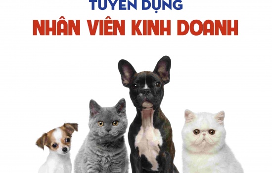 Tuyển dụng Nhân viên kinh doanh thức ăn và phụ kiện cho chó mèo