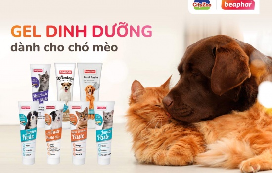         GEL DINH DƯỠNG DÀNH CHO CHÓ MÈO ĐẾN TỪ BEAPHAR