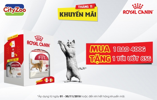 Royal Canin khuyến mãi tháng 11-2018 - Mixed Feeding 