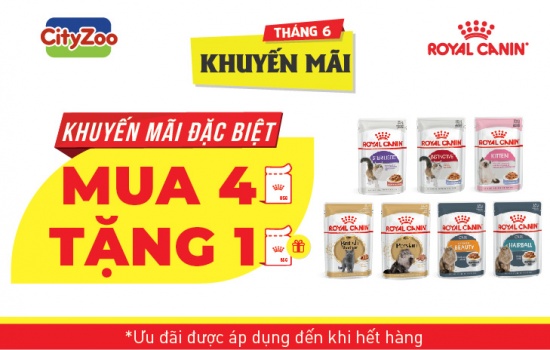 ROYAL CANIN khuyến mãi thức ăn ướt cho mèo tháng 6 - 2019