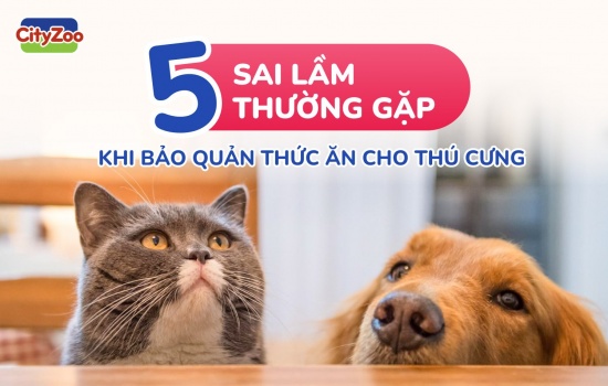 5 SAI LẦM THƯỜNG GẶP KHI BẢO QUẢN THỨC ĂN CHO THÚ CƯNG